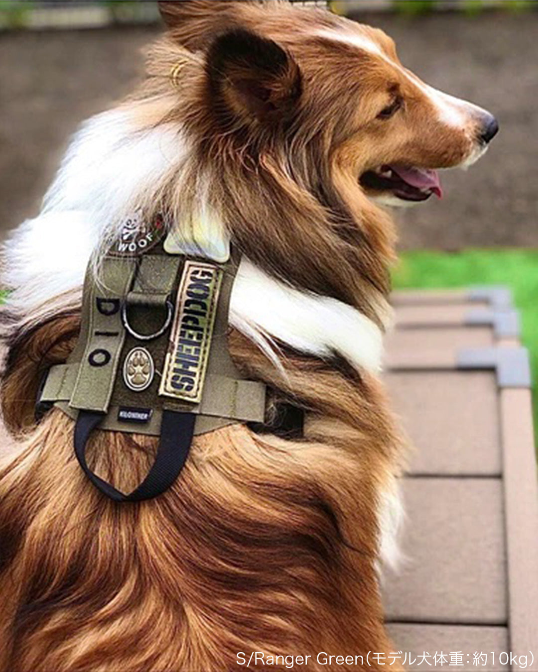 M1 Light Speed Harness