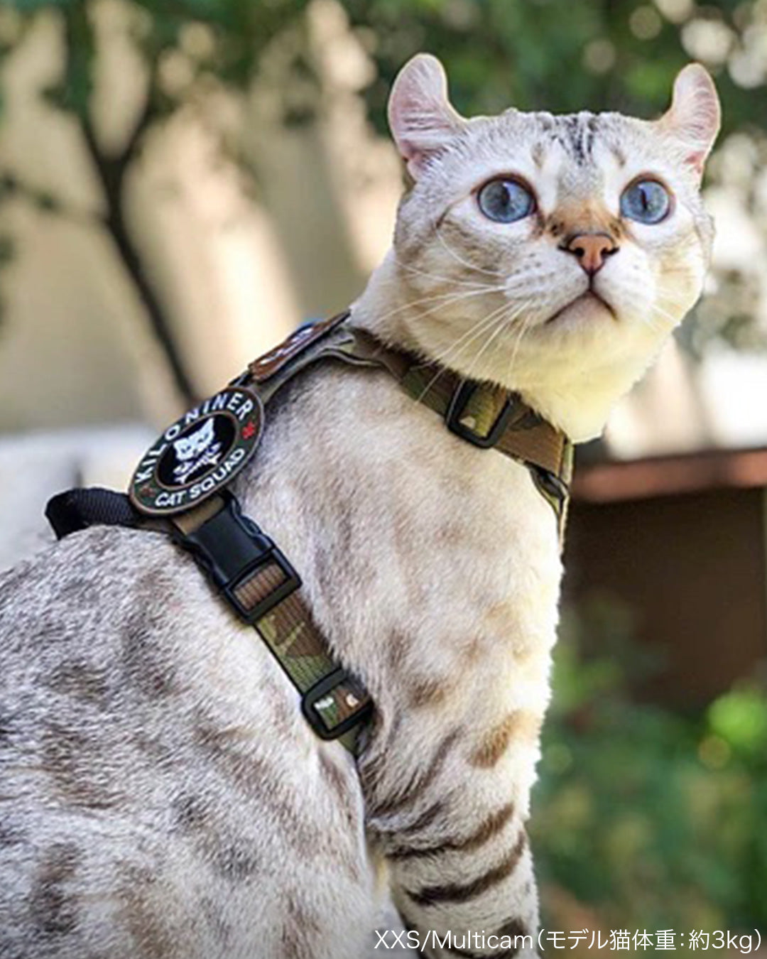 M1 Light Speed Harness