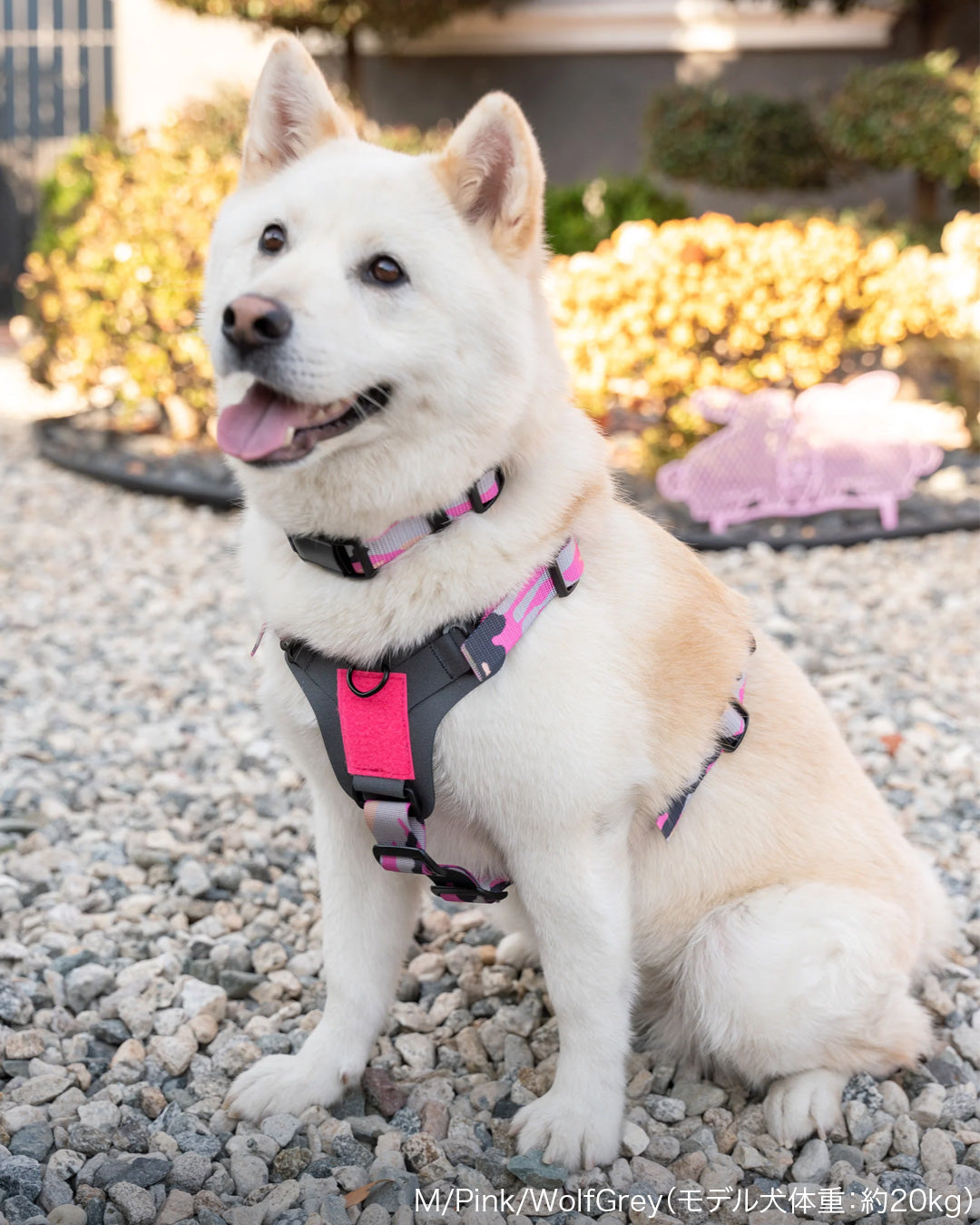 M1 Light Speed Harness