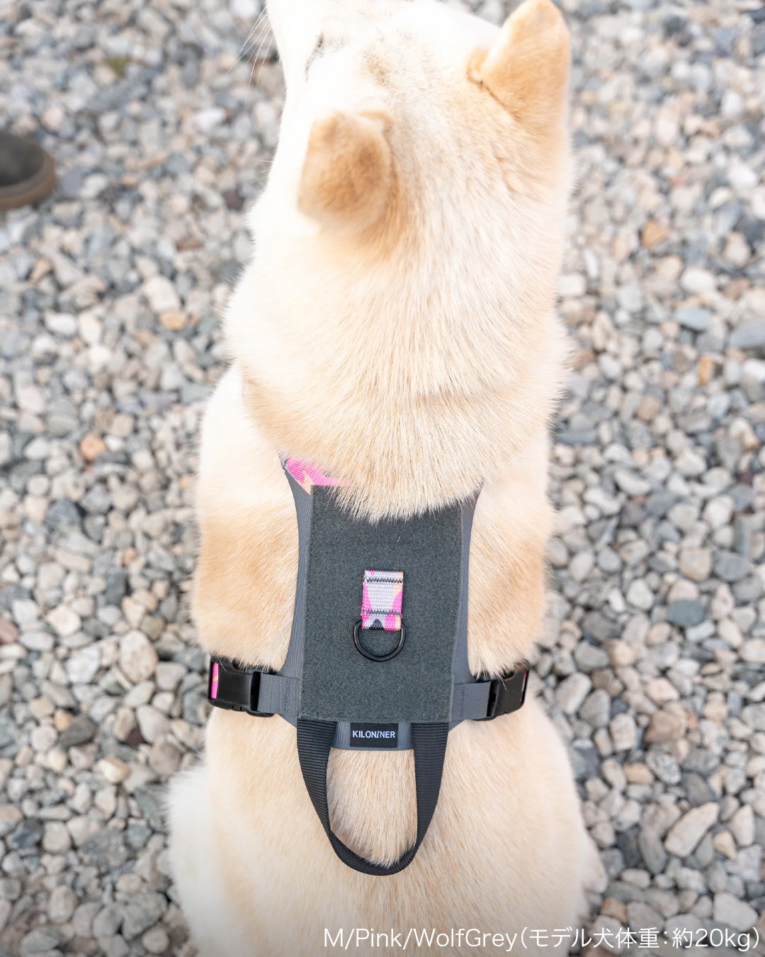 M1 Light Speed Harness