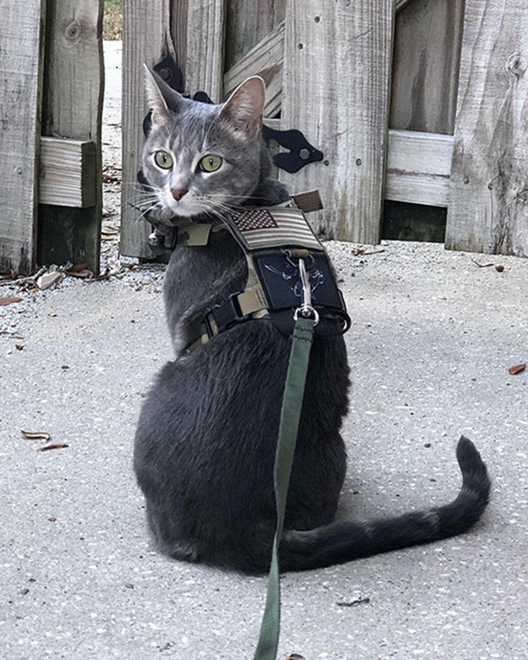 M1 Light Speed Harness