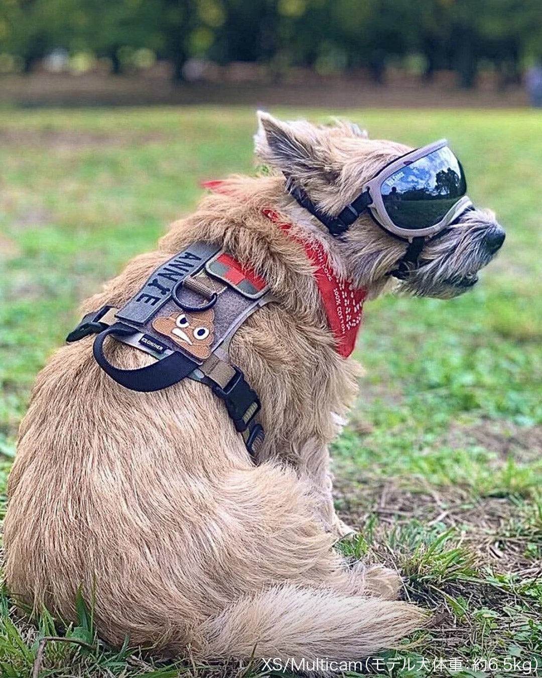 M1 Light Speed Harness