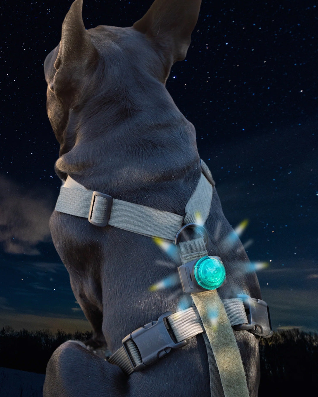 SF1 Clip-on Safety Light