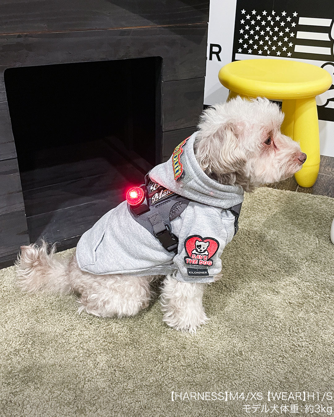 SF1 Clip-on Safety Light