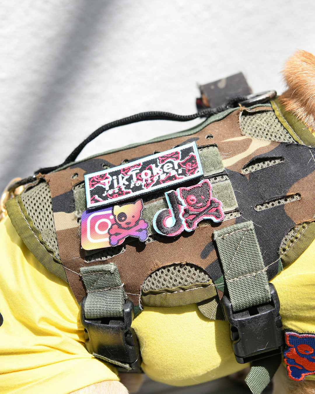 JP SNS Patch