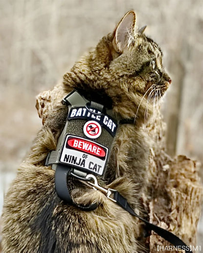 BEWARE OF NINJA CAT Patch