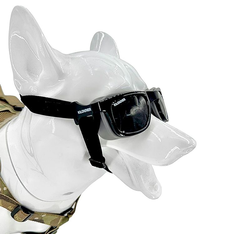 W1 Eye Defender Goggles