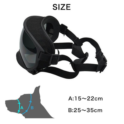 R5 First shot Goggles