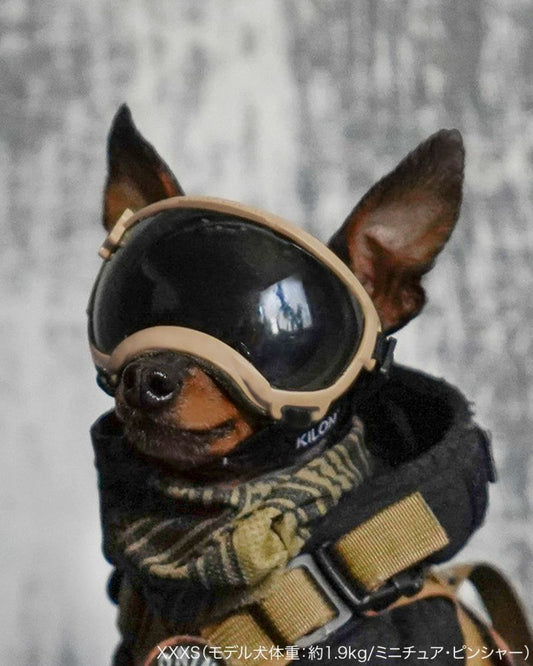 Signature Goggles