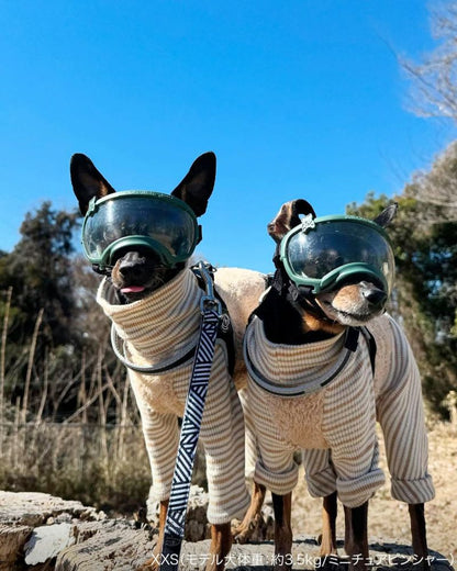 Signature Goggles