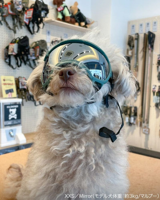 Replaceable Lens for Signature Goggles
