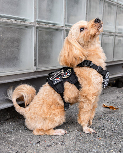 リアルクロスボーンメダル パッチ