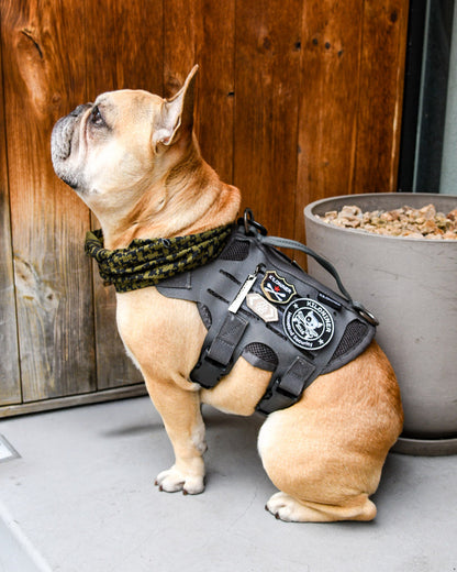 リアルクロスボーンメダル パッチ