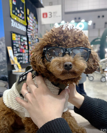 ライトシフトグラス 犬用調光サングラス