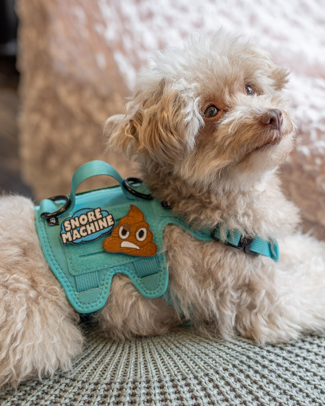 Stinky Poop Patch