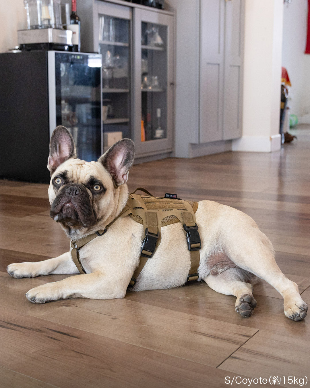 M4ハーネス – KILONINER ONLINESHOP