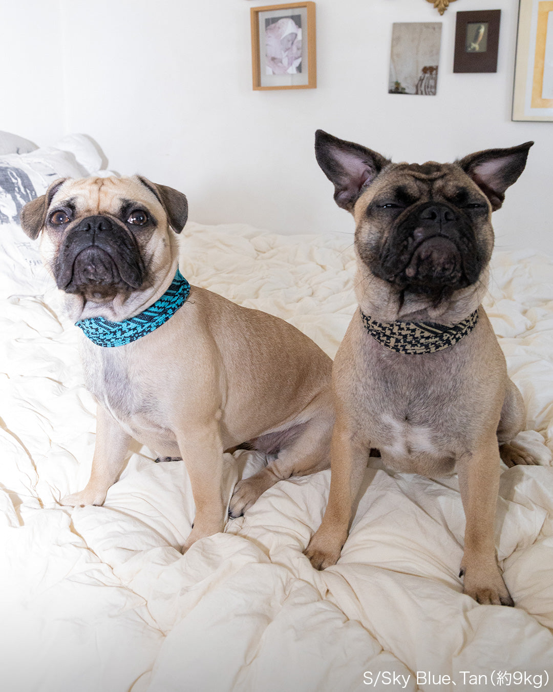 クーリングシュマグスカーフ