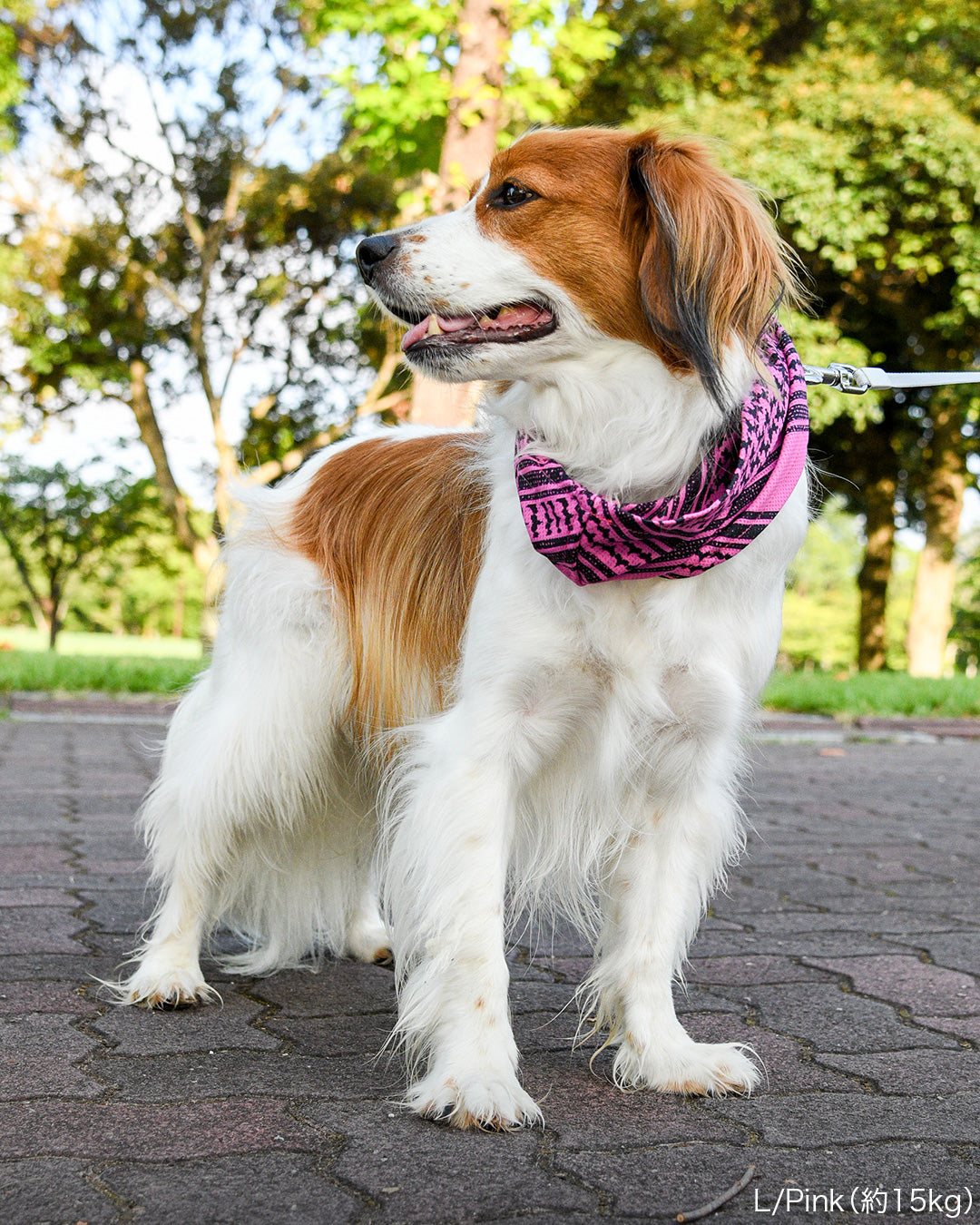 クーリングシュマグスカーフ