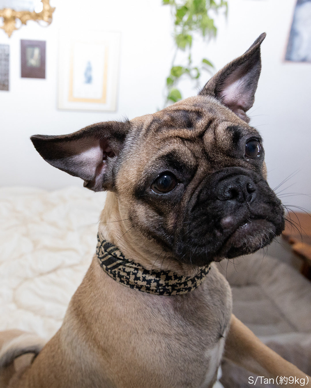 クーリングシュマグスカーフ