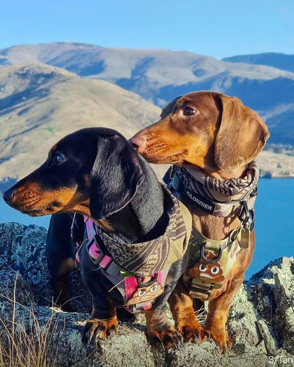 クーリングシュマグスカーフ