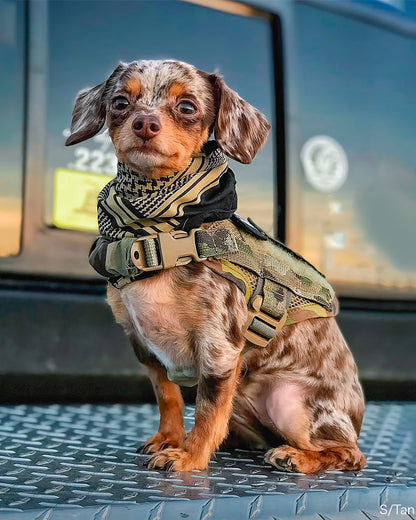 クーリングシュマグスカーフ