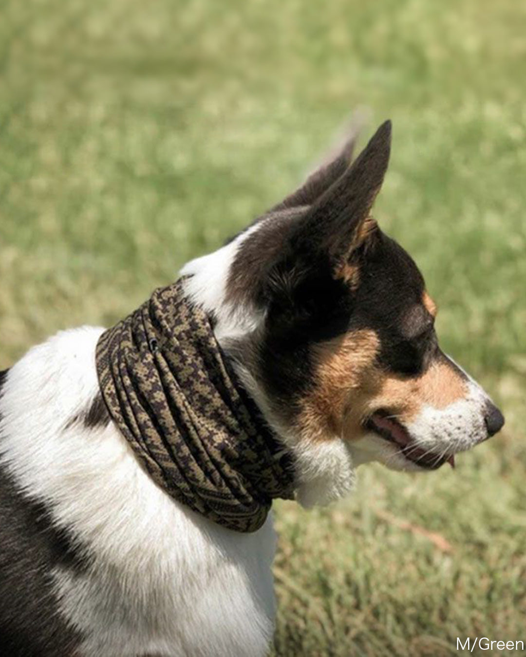 クーリングシュマグスカーフ