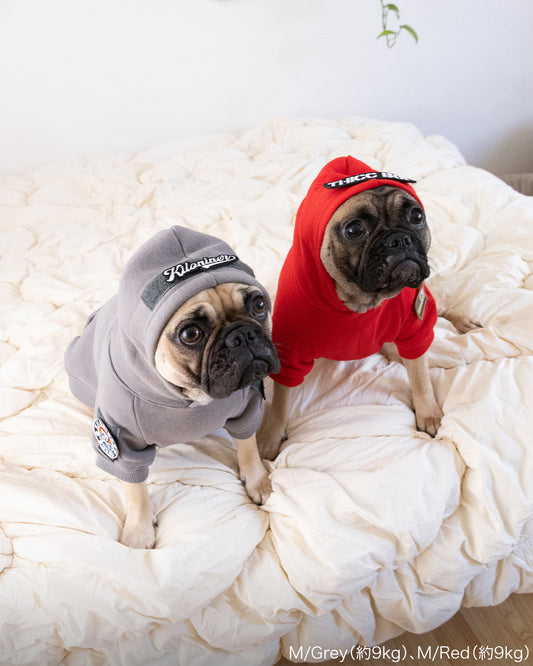 H1プルオーバーフーディー