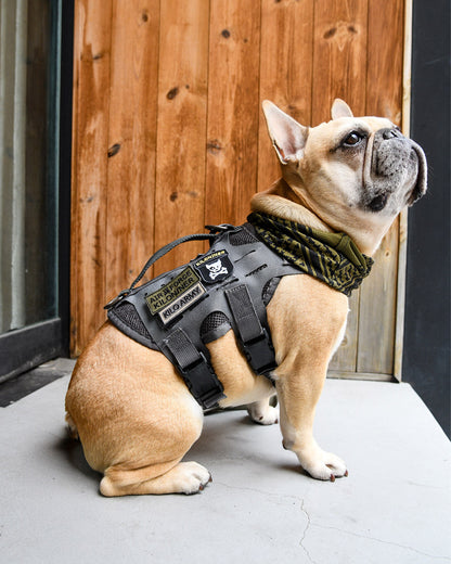 アーミー パッチ