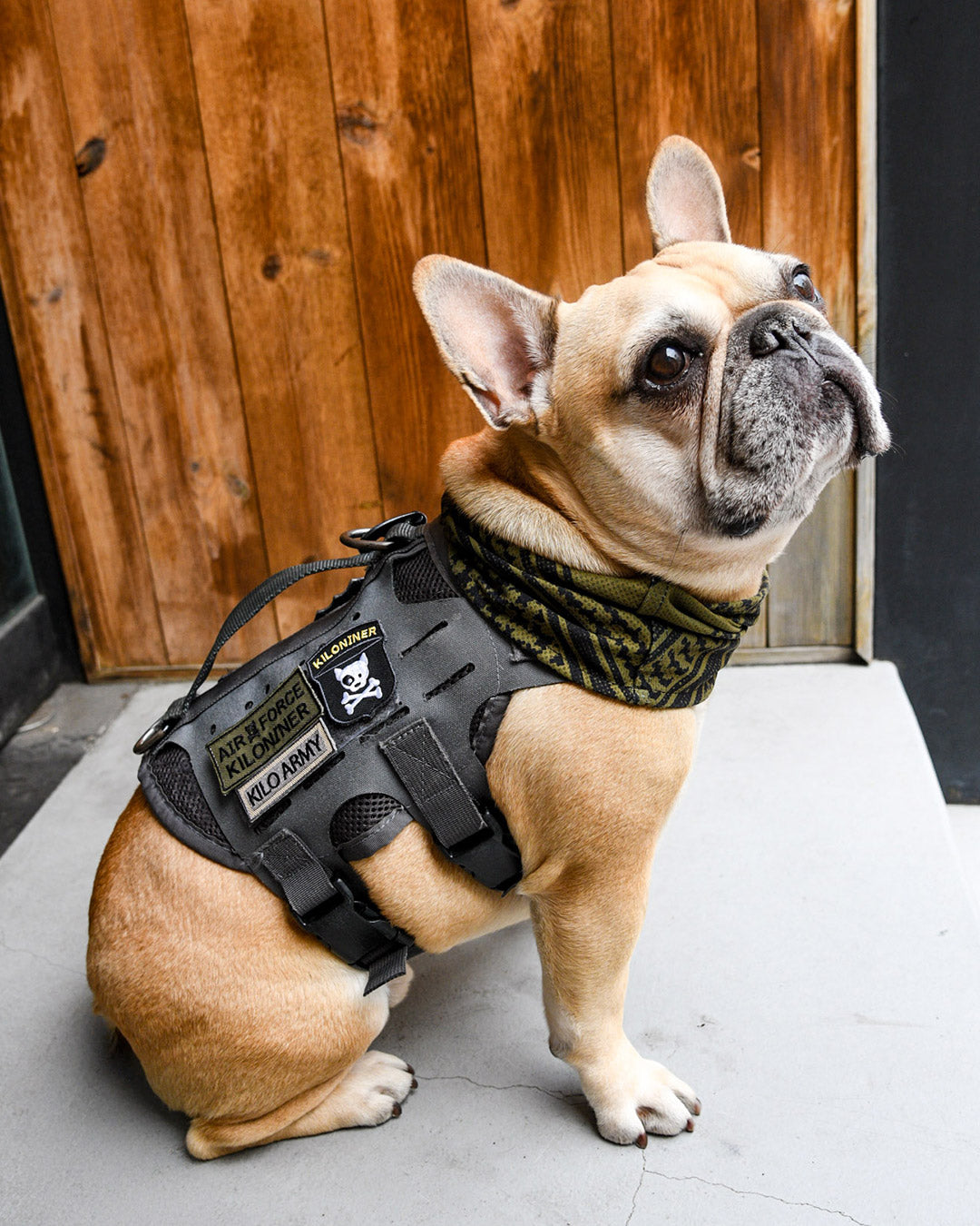 エアフォース パッチ