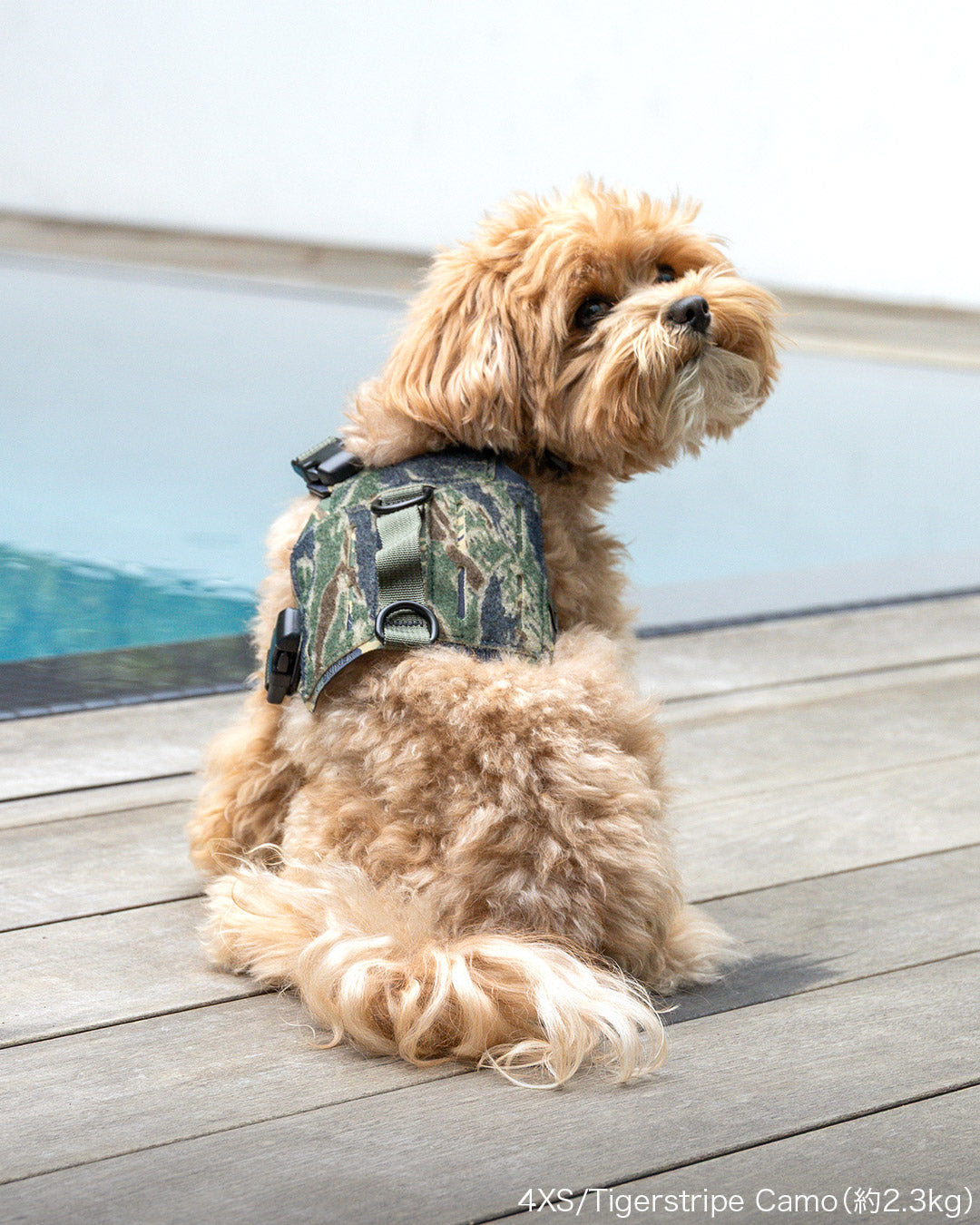 【受注】M5ハーネス（4XSL）