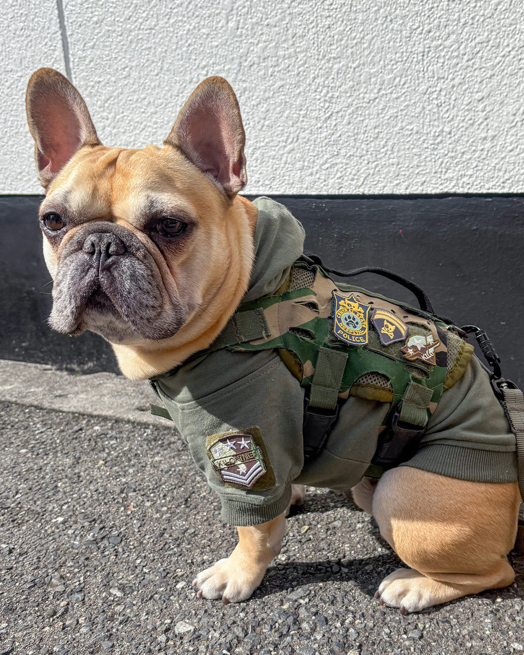 スリースターズミニウィング パッチ