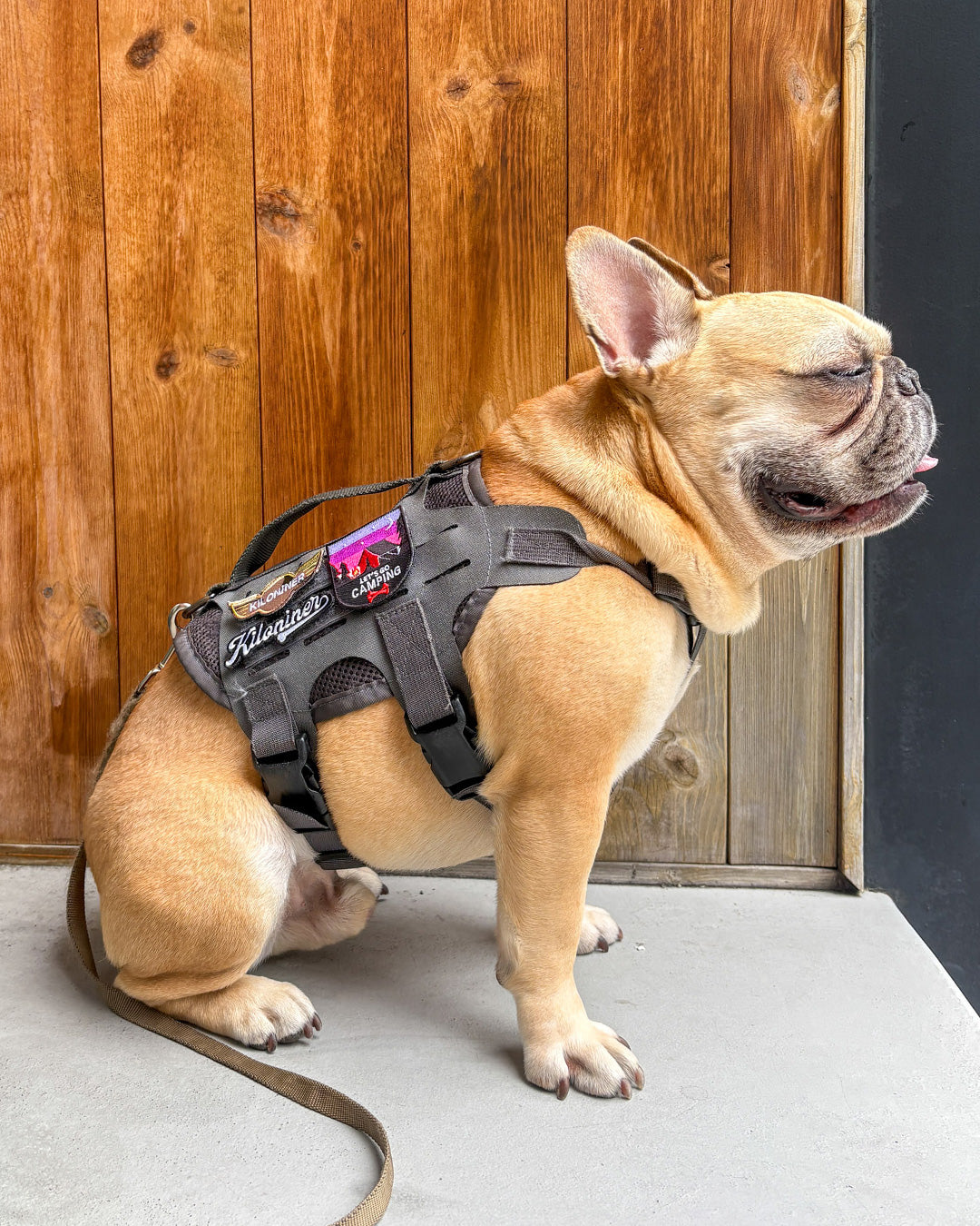 KILONINER ONLINE SHOP – KILONINER ONLINESHOP