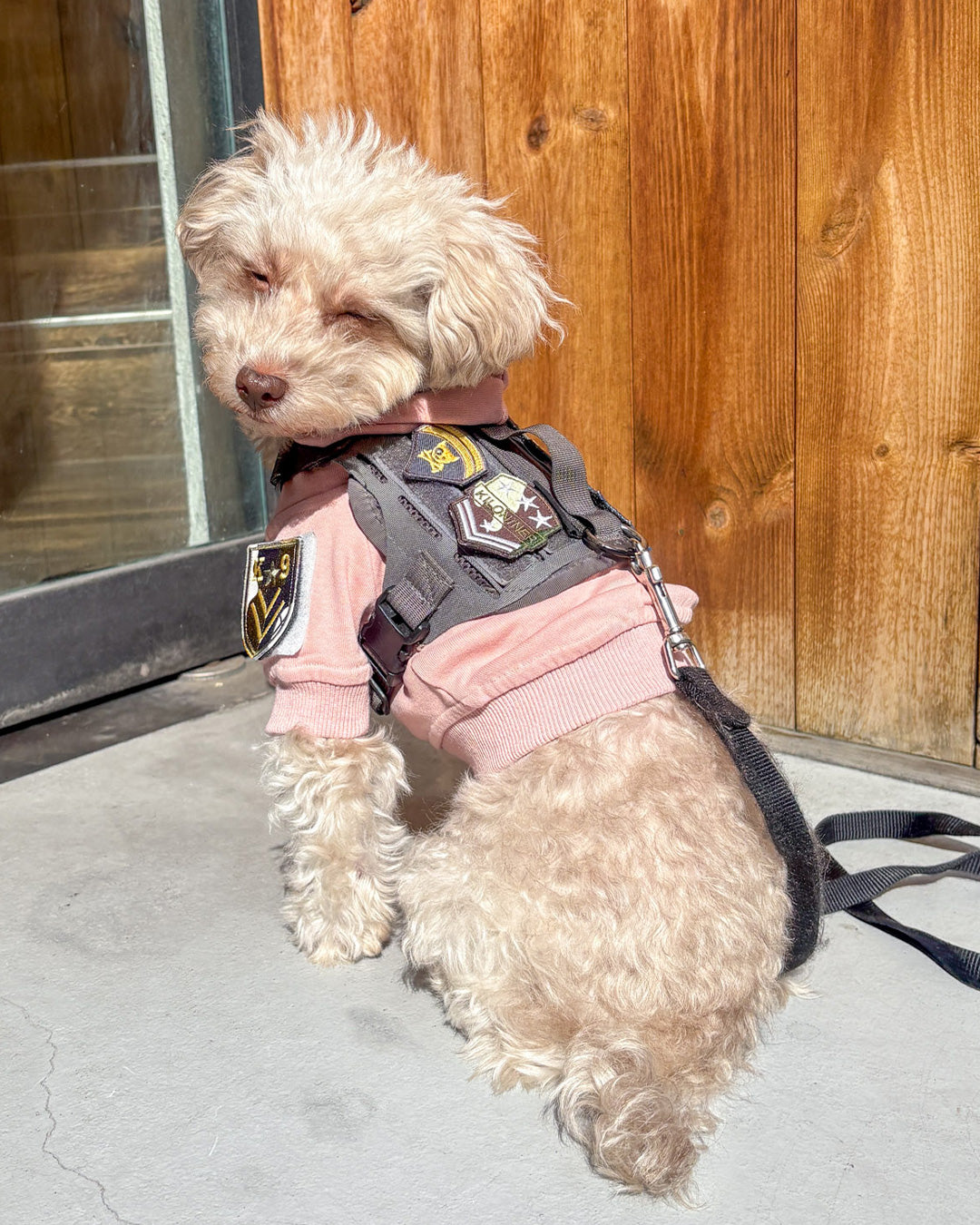 フォースターズメダル パッチ