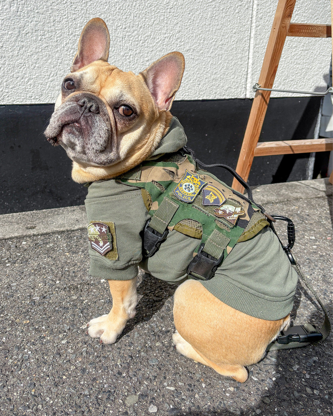 ドッグメダル パッチ