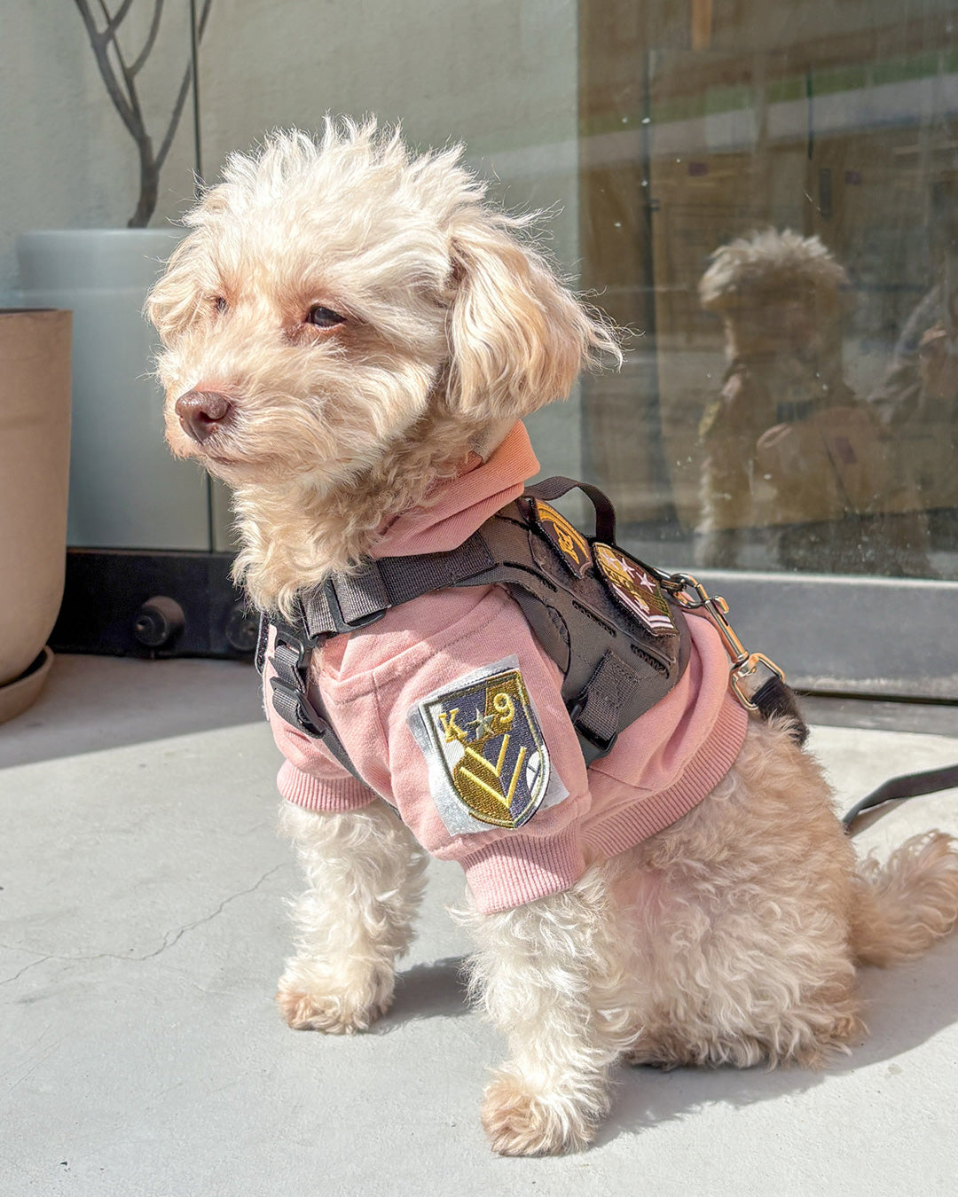 K9メダル パッチ