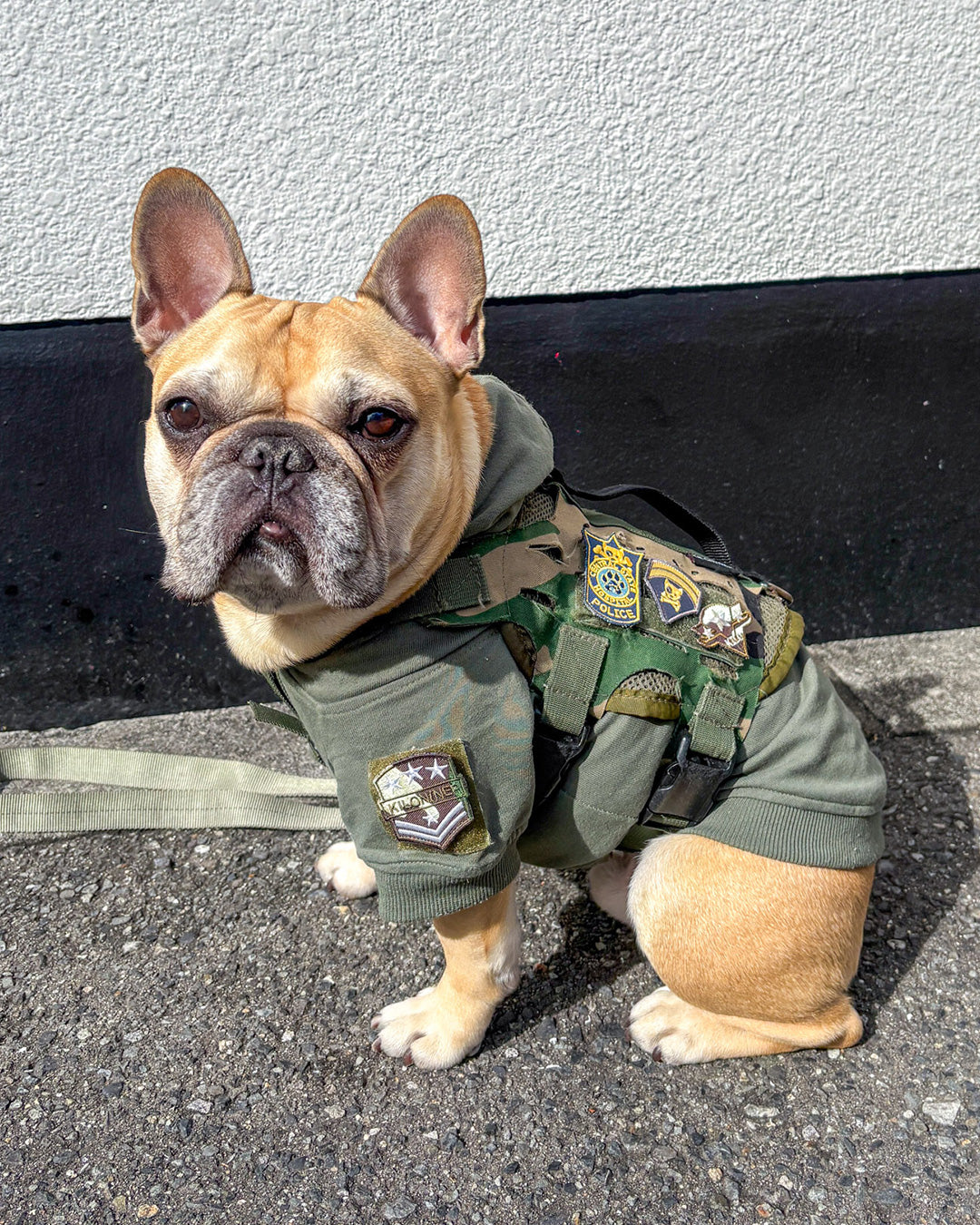 セントラルポリス パッチ