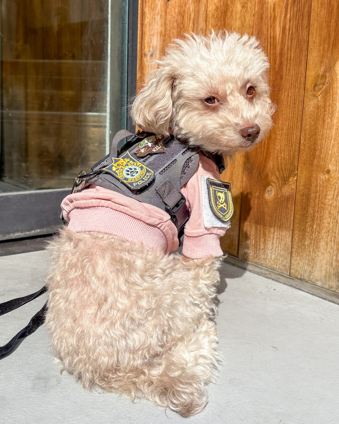 セントラルポリス パッチ