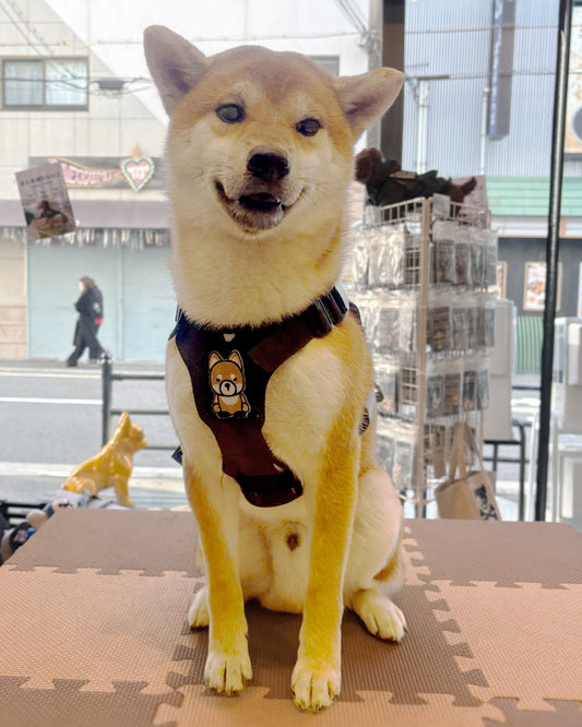 キャラクター パッチ - 柴犬