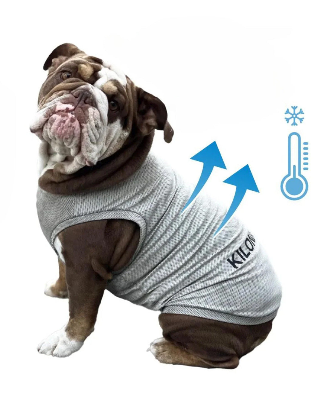 Pet wear – KILONINER ONLINESHOP