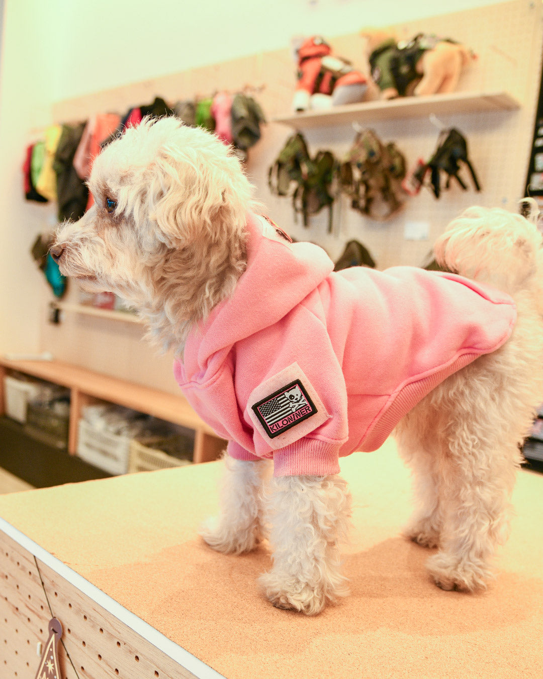 ミニ フリーダムクロスボーン パッチ