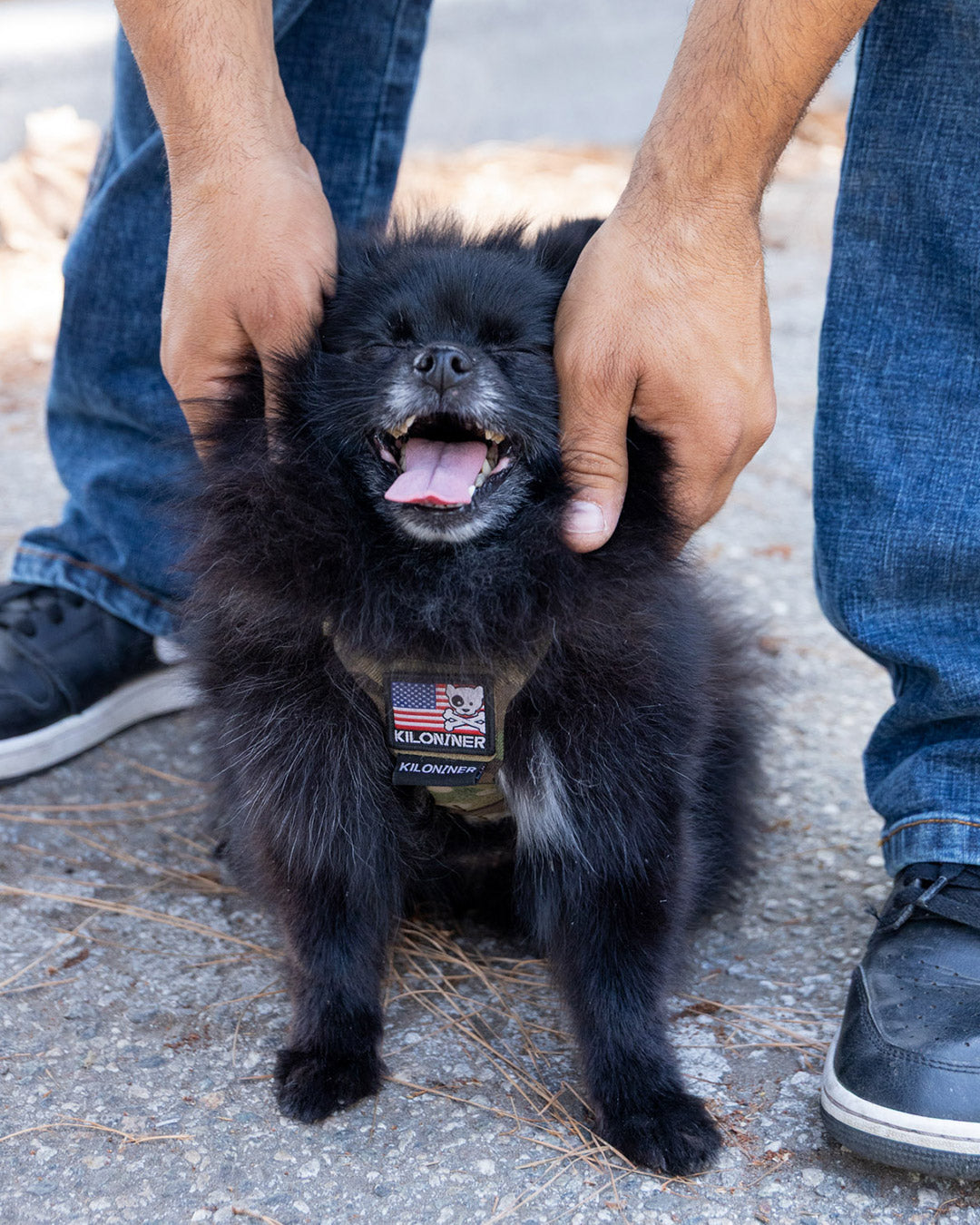 ミニ フリーダムクロスボーン パッチ