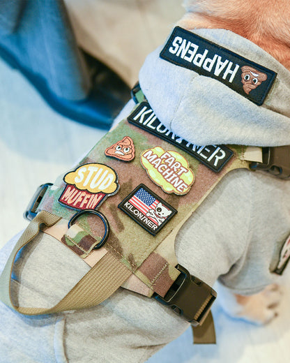 ミニ フリーダムクロスボーン パッチ