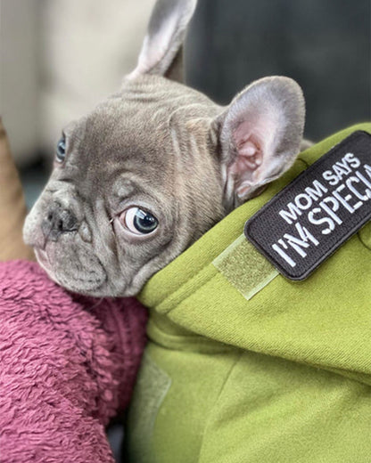 マムセイズアイムスペシャル パッチ