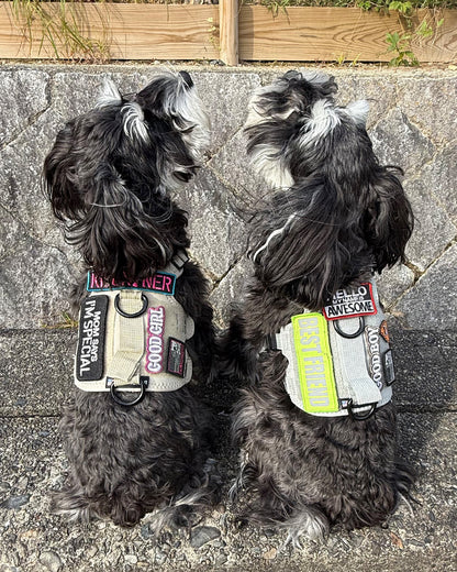 マムセイズアイムスペシャル パッチ