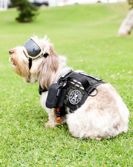 MP4プープバッグポーチ