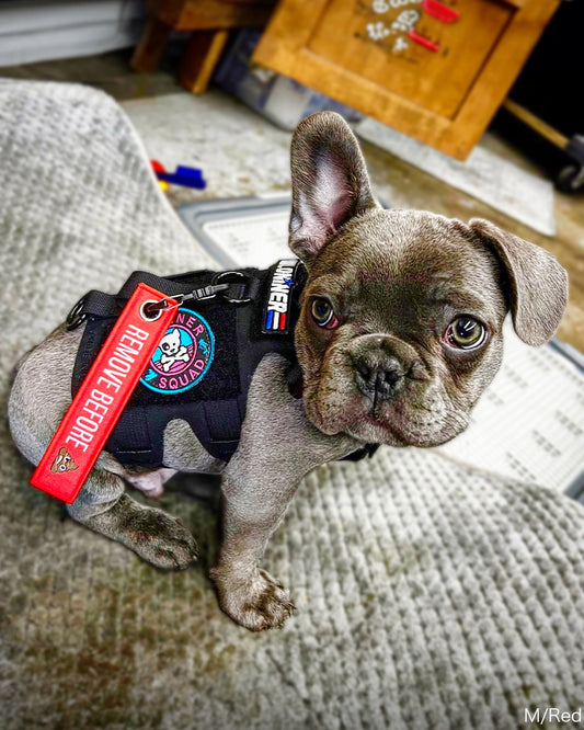 キーチェーンタグ