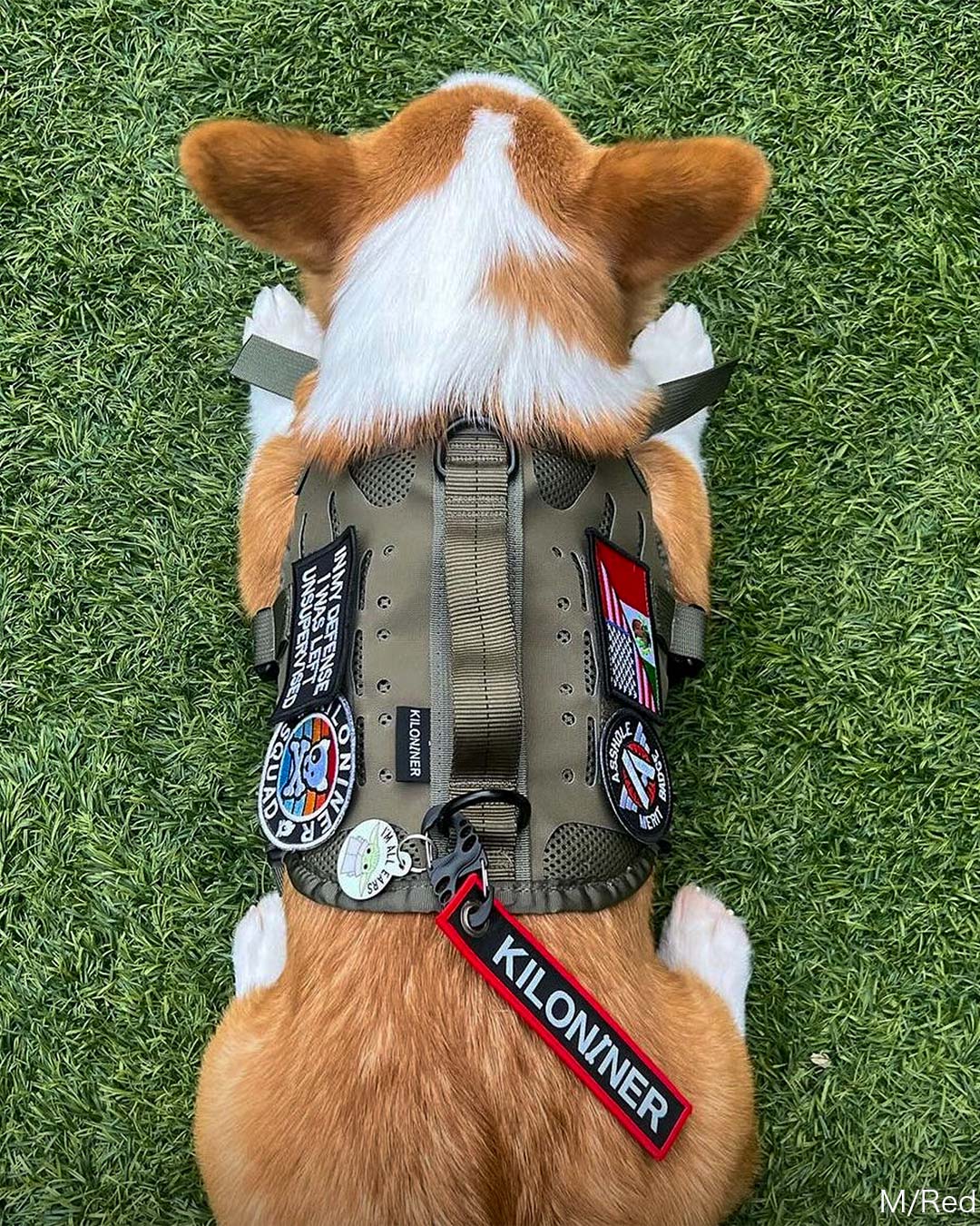 キーチェーンタグ