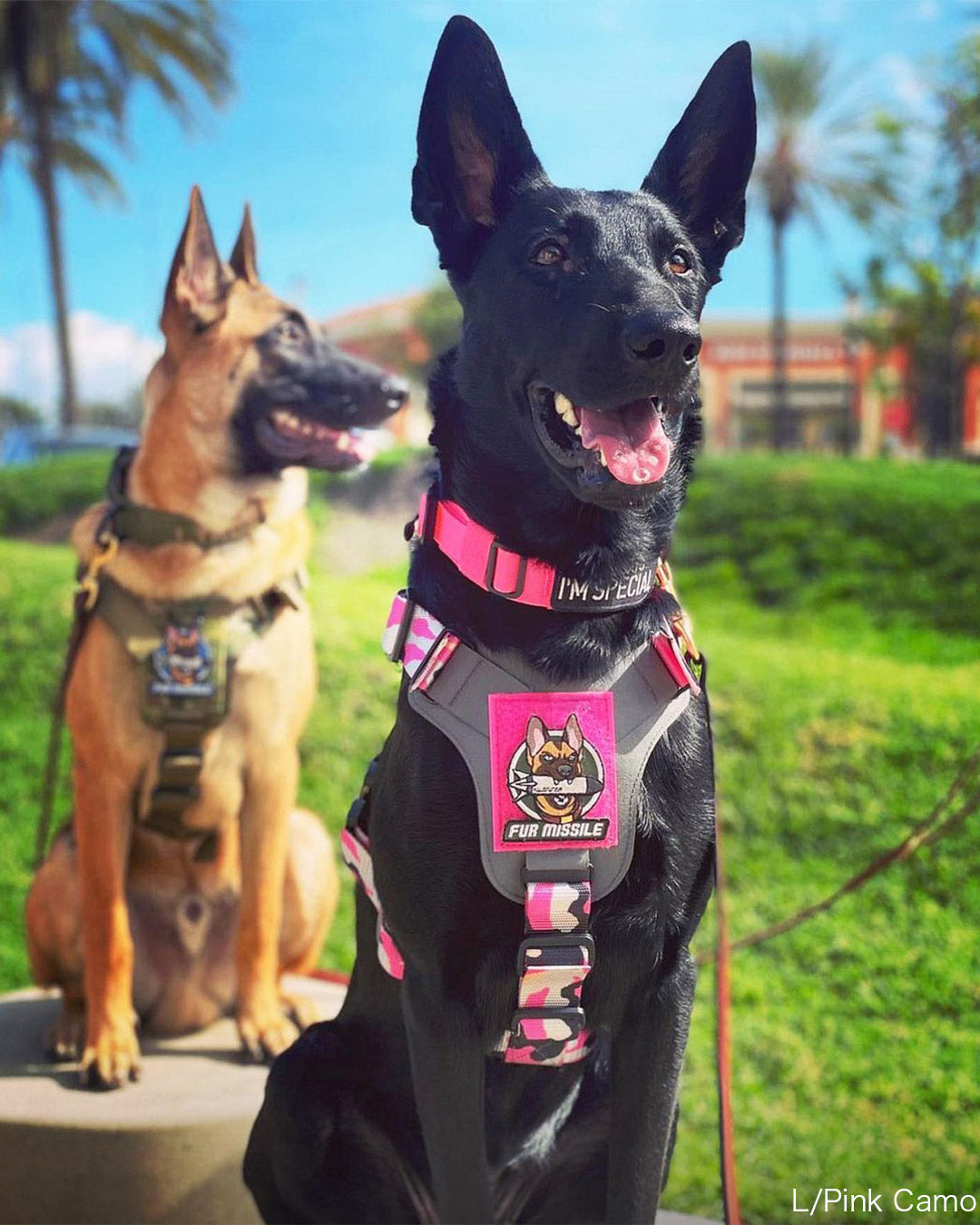 M1ハーネス（Lサイズ）