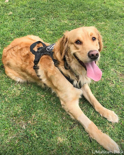 M1ハーネス（Lサイズ）