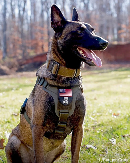 M1ハーネス（Lサイズ）